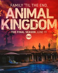 Vương quốc động vật (Phần 6) - Animal Kingdom (Season 6)